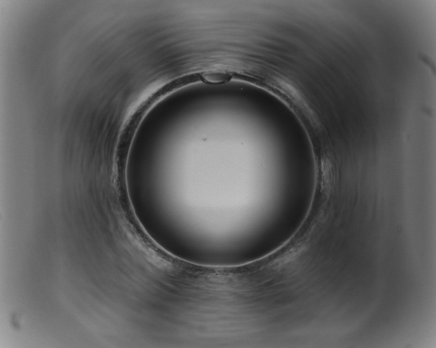 X0000099540780200805161427