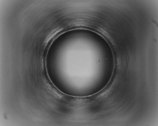 X0000099540782200805161427