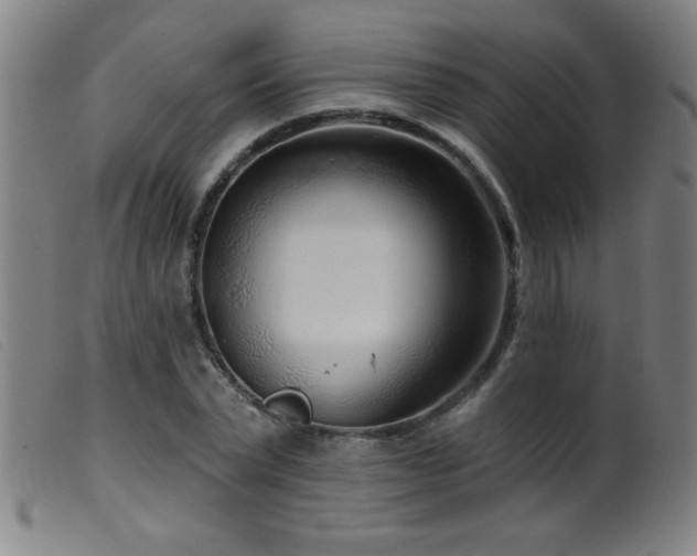 X0000099540783200805161427