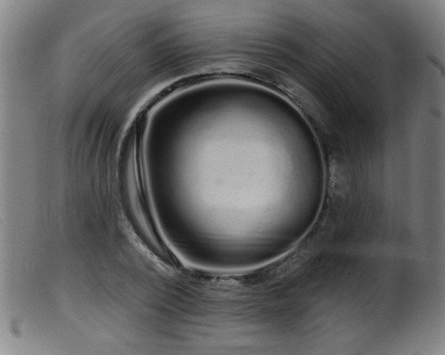 X0000099540784200805161427