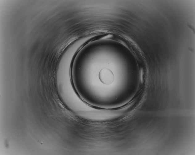 X0000099540785200805161427