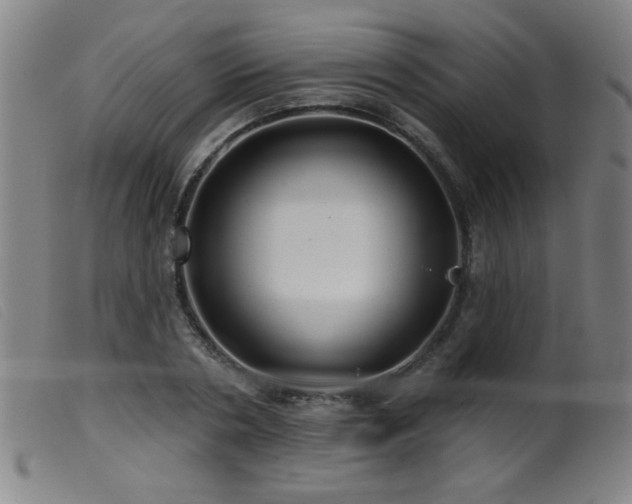 X0000099540786200805161427