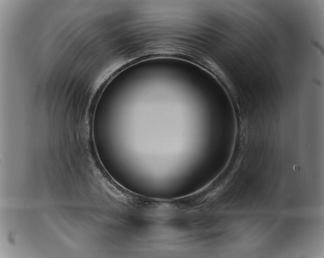 X0000099540787200805161427
