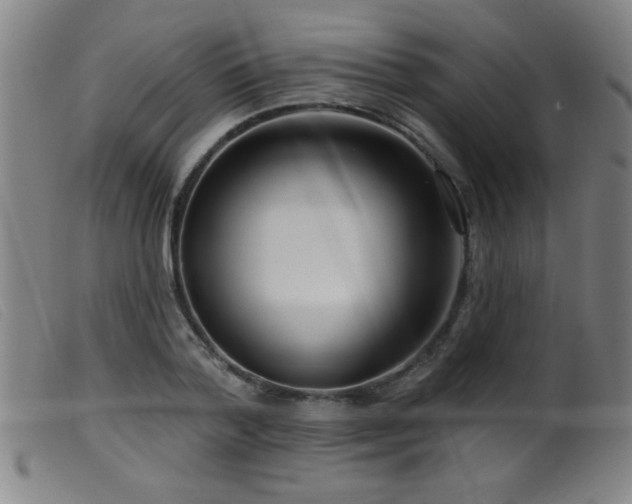 X0000099540788200805161427