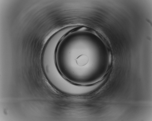 X0000099540789200805161427