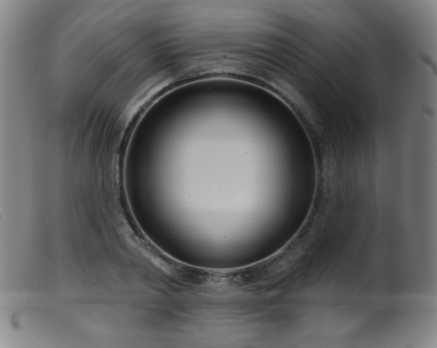 X0000099540790200805161426
