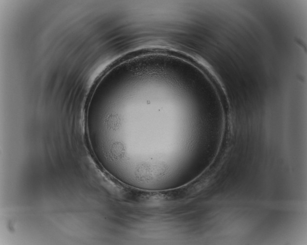 X0000099540791200805161426