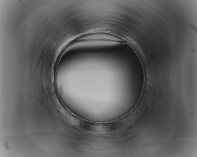 X0000099540792200805161426
