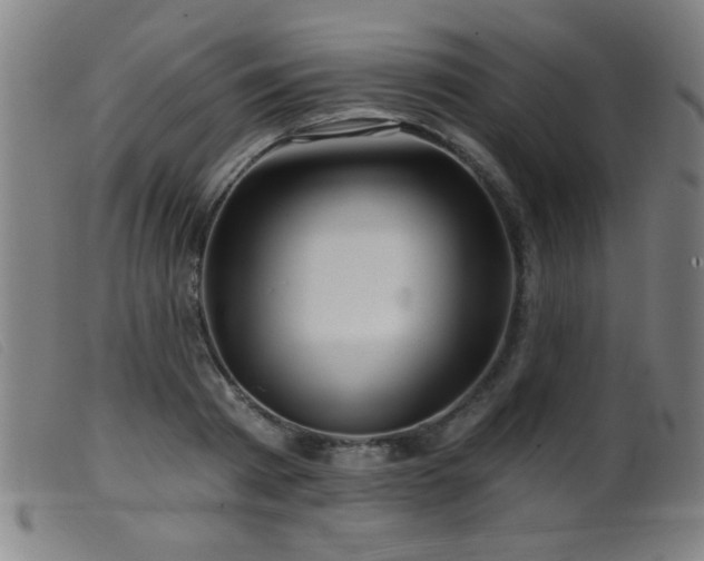 X0000099540793200805161426