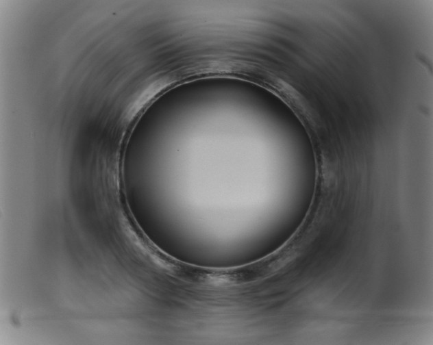 X0000099540794200805161426