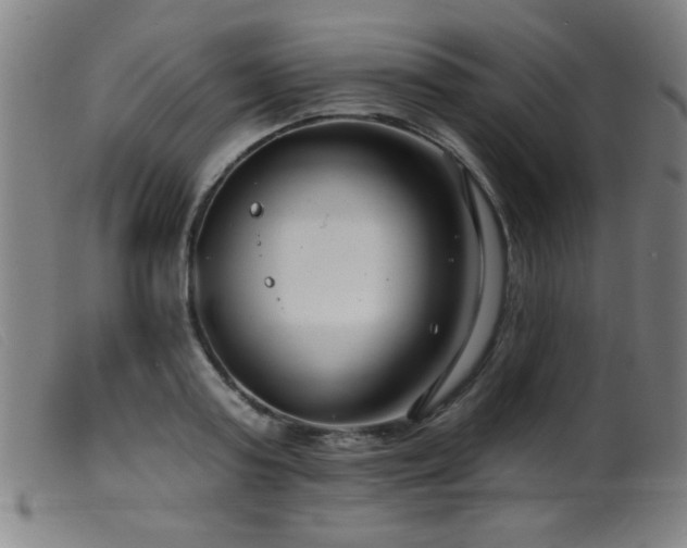 X0000099540795200805161426