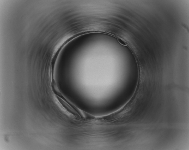 X0000099540796200805161426