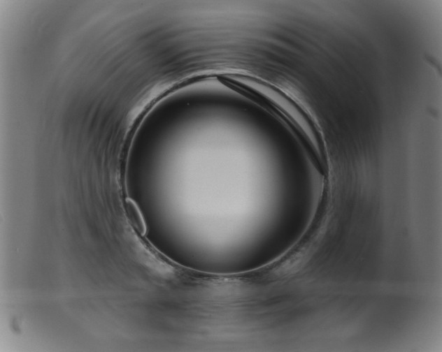 X0000099540797200805161426