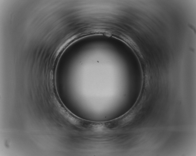 X0000099540798200805161426