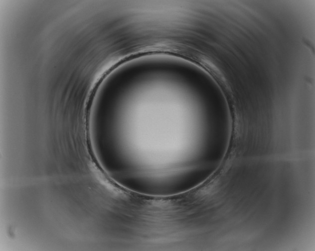 X0000099540800200805161426
