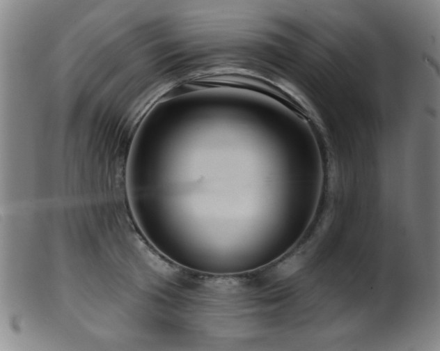 X0000099540801200805161426