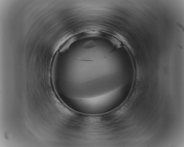 X0000099540802200805161426