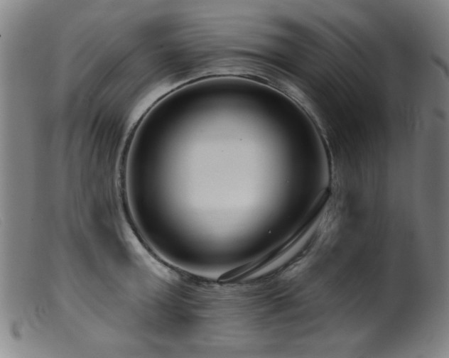 X0000099540803200805161426