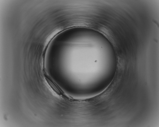 X0000099540804200805161426