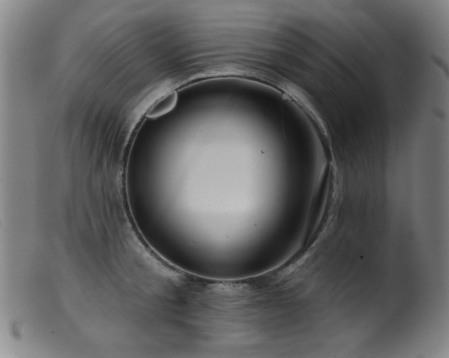 X0000099540805200805161426