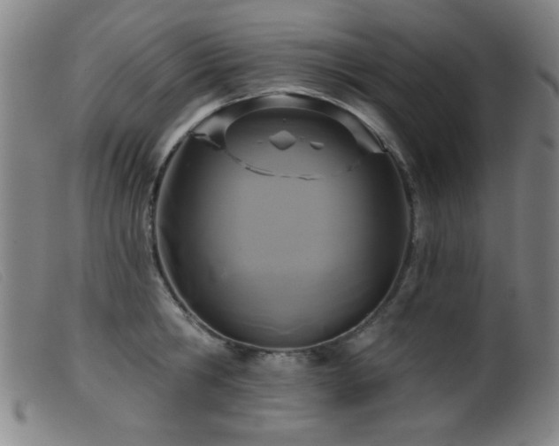 X0000099540806200805161426