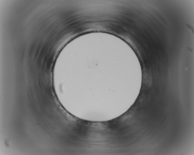X0000099540807200805161426