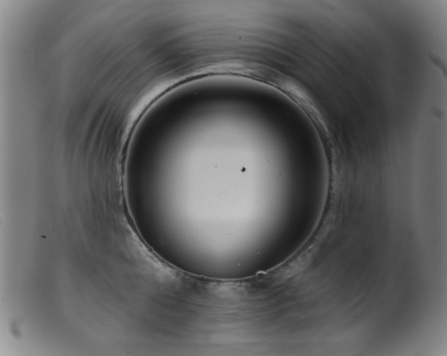 X0000099540808200805161426