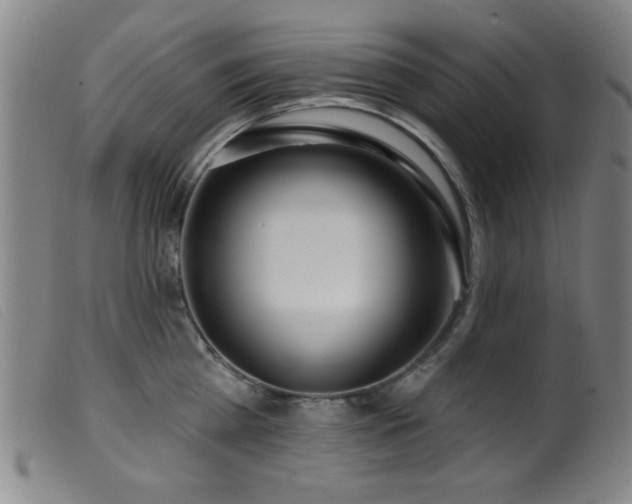 X0000099540809200805161426