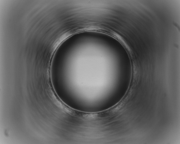 X0000099540810200805161426