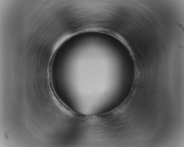 X0000099540811200805161426
