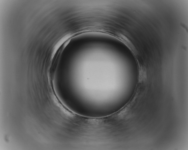 X0000099540812200805161426