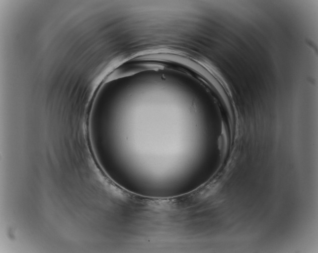 X0000099540813200805161426