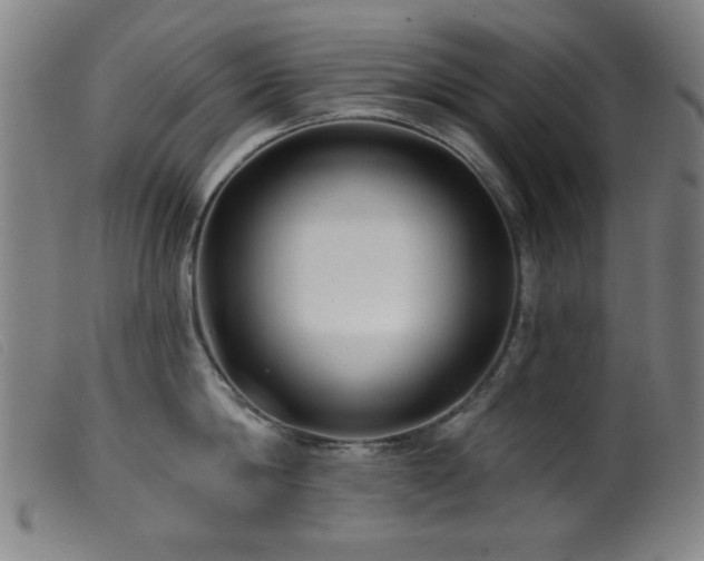 X0000099540814200805161426