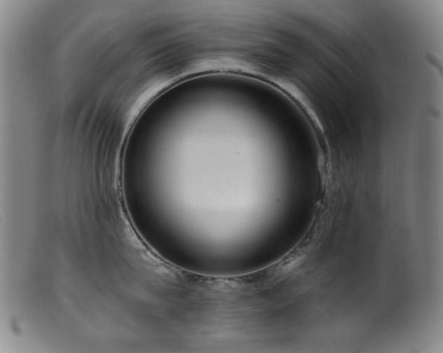X0000099540815200805161426