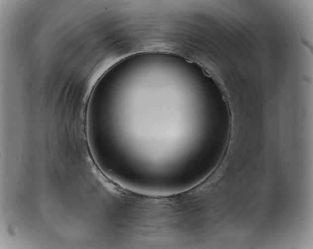 X0000099540816200805161426