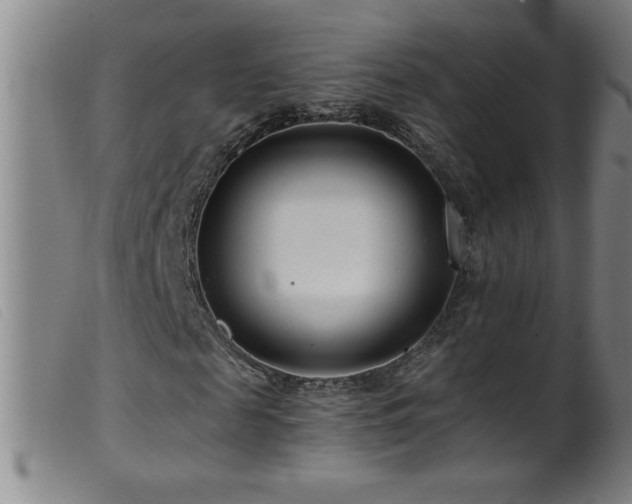 X0000099540817200805161425