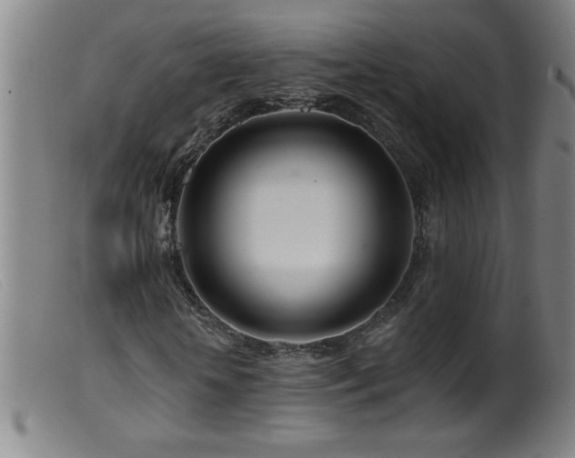 X0000099540818200805161425