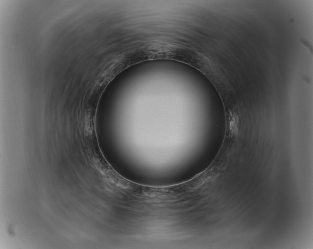 X0000099540819200805161425