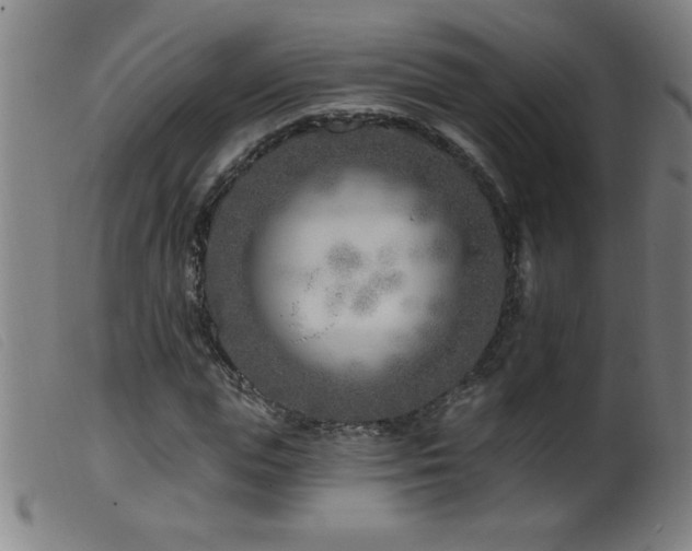 X0000099540823200805161425