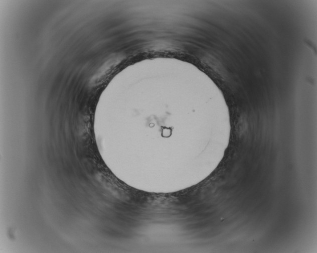 X0000099540824200805161425