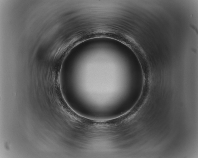 X0000099540825200805161425