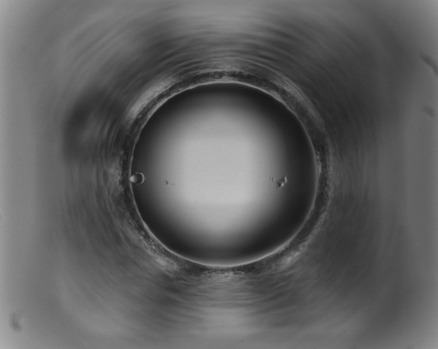 X0000099540826200805161426