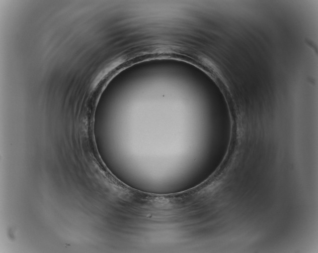 X0000099540827200805161426