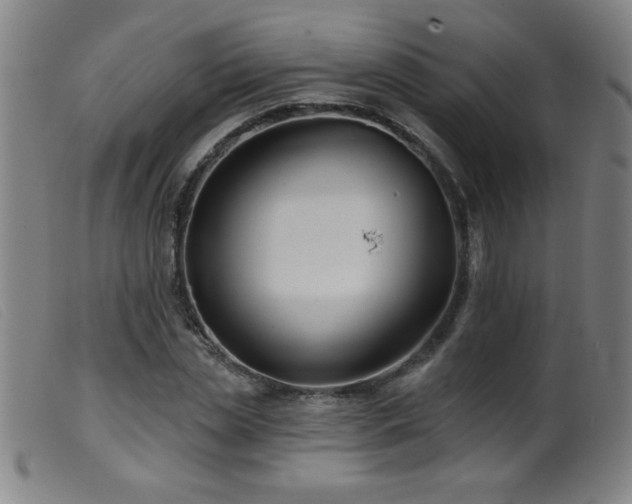 X0000099540829200805161426