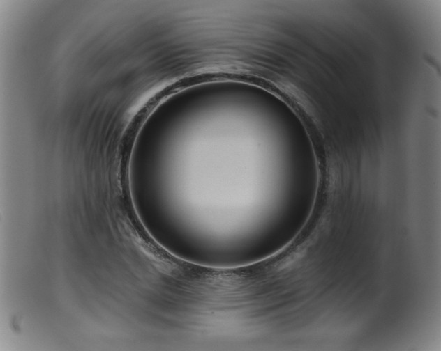 X0000099540830200805161426