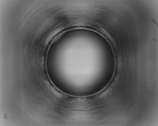 X0000099540831200805161426
