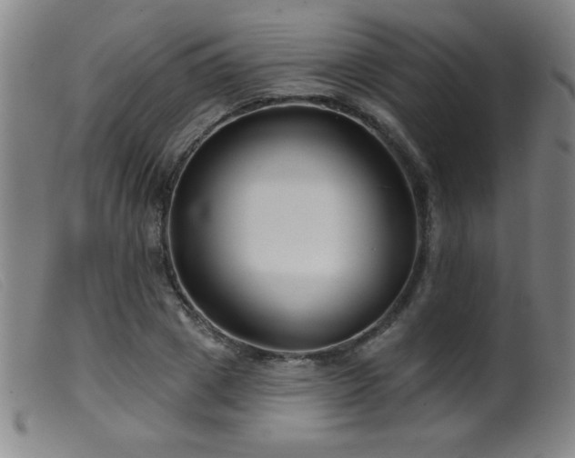 X0000099540833200805161426