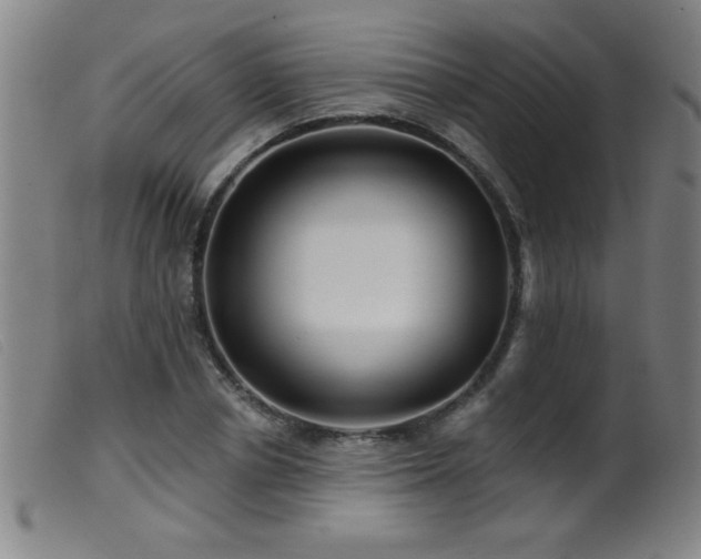 X0000099540834200805161426