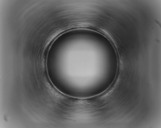 X0000099540835200805161426