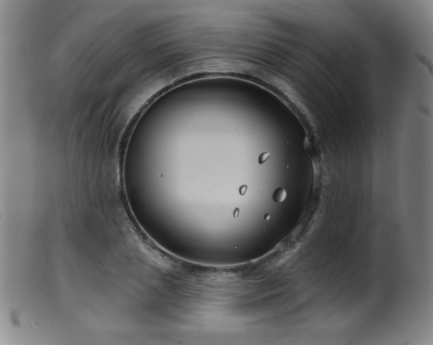 X0000099540837200805161426